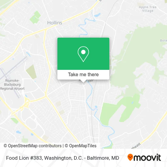 Food Lion #383 map
