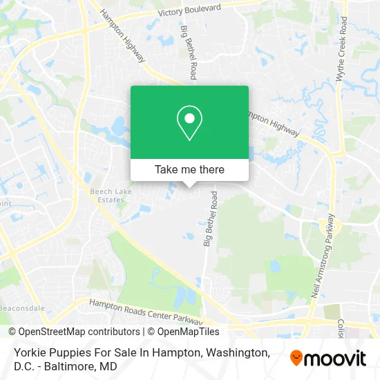 Yorkie Puppies For Sale In Hampton map