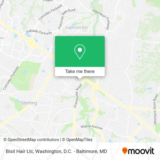 Bisil Hair Llc map
