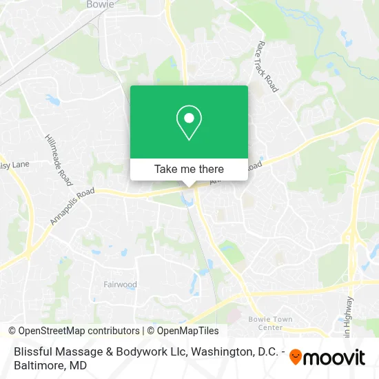 Blissful Massage & Bodywork Llc map