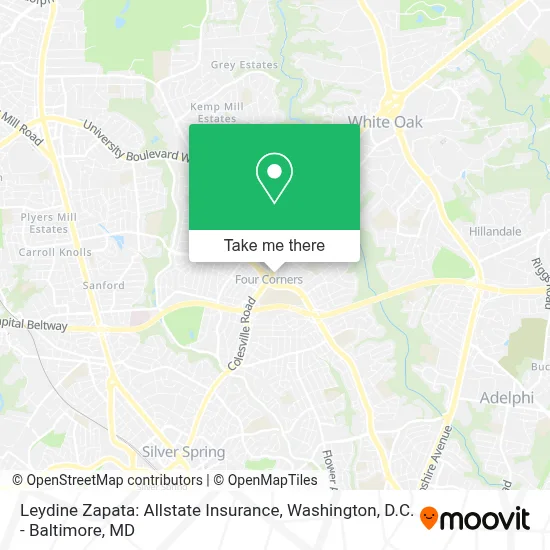 Leydine Zapata: Allstate Insurance map