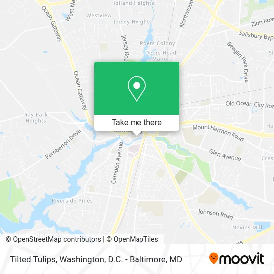 Tilted Tulips map