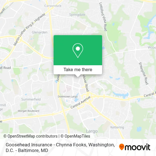 Goosehead Insurance - Chynna Fooks map
