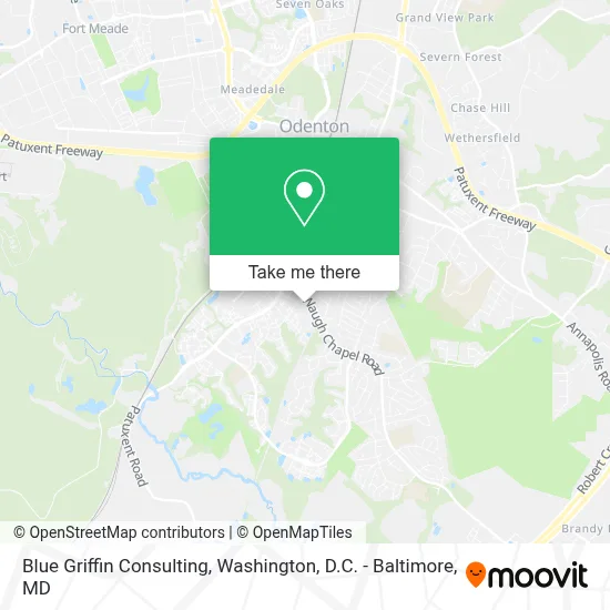 Blue Griffin Consulting map