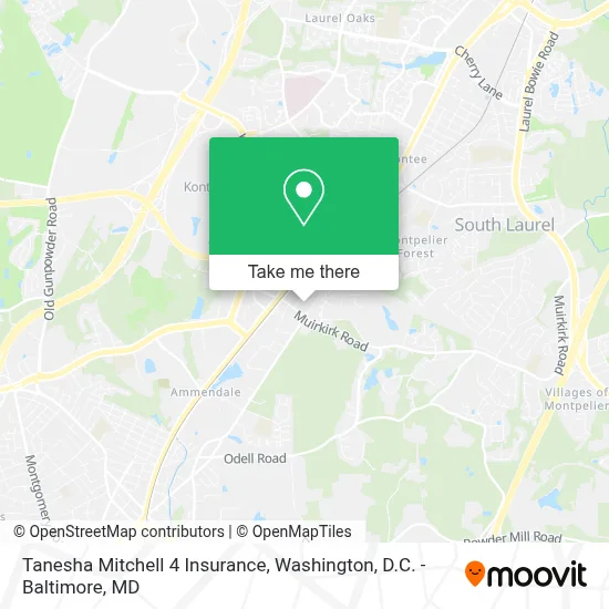 Tanesha Mitchell 4 Insurance map