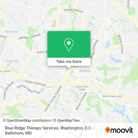 Blue Ridge Therapy Services map