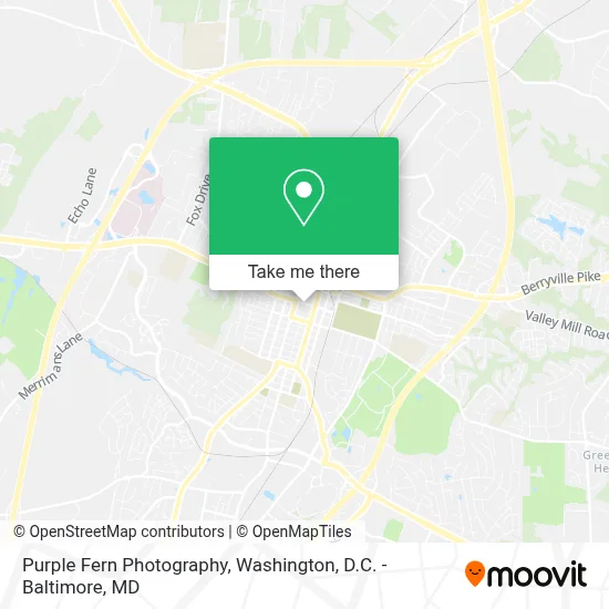Purple Fern Photography map