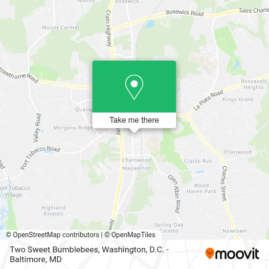 Two Sweet Bumblebees map