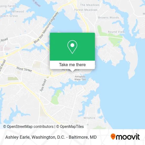Ashley Earle map