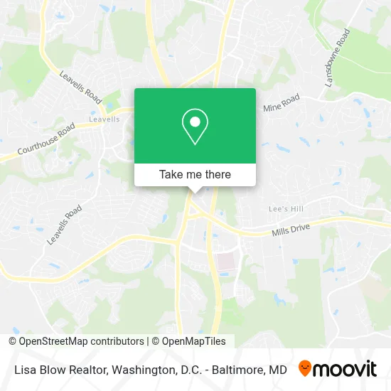 Lisa Blow Realtor map