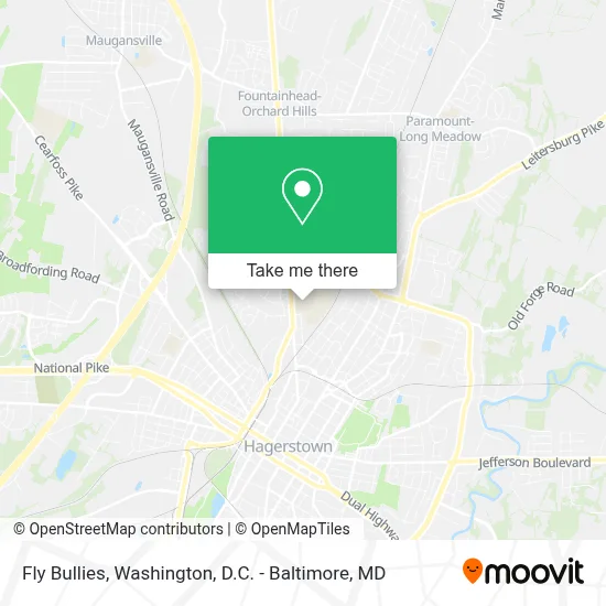 Fly Bullies map