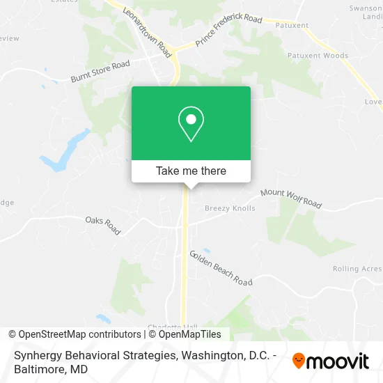 Synhergy Behavioral Strategies map