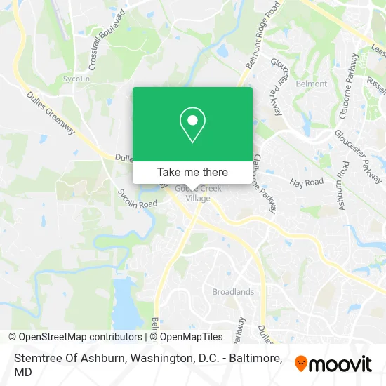 Stemtree Of Ashburn map