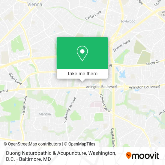 Duong Naturopathic & Acupuncture map