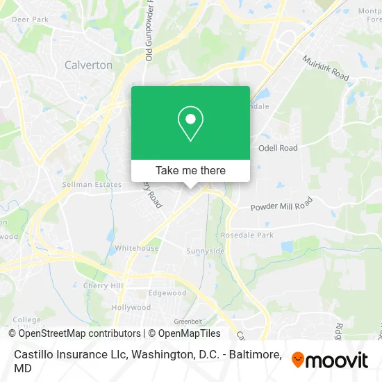 Castillo Insurance Llc map