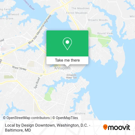 Local by Design Downtown map
