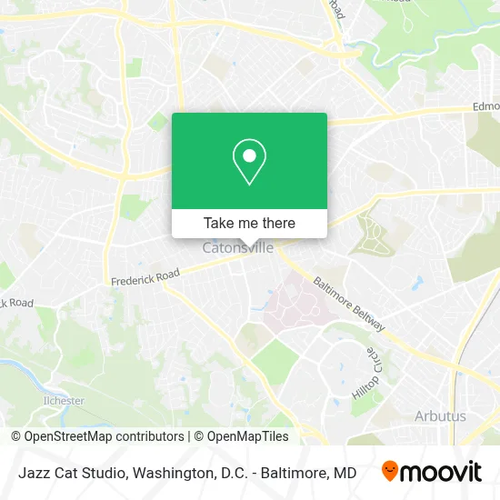 Jazz Cat Studio map