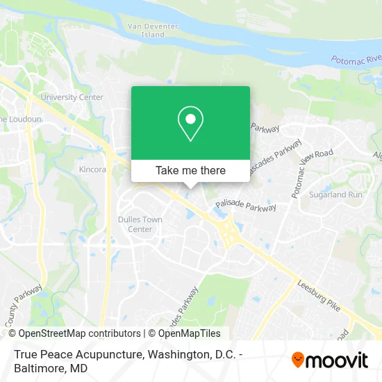 True Peace Acupuncture map