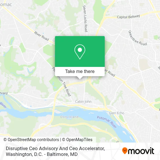 Disruptive Ceo Advisory And Ceo Accelerator map