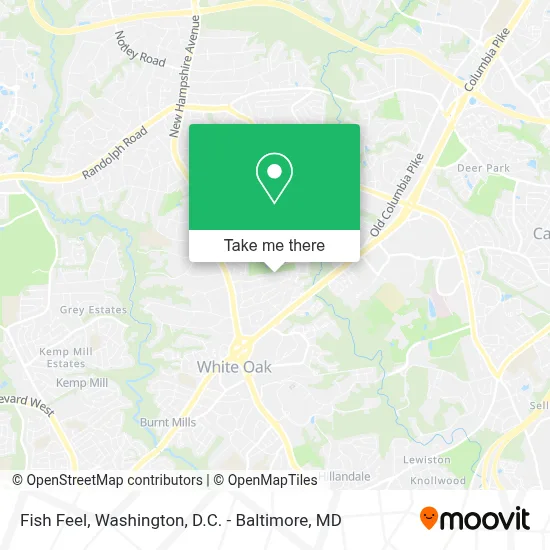 Fish Feel map