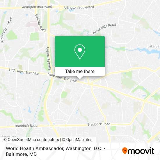 World Health Ambassador map