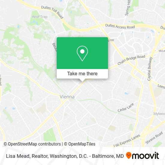 Lisa Mead, Realtor map