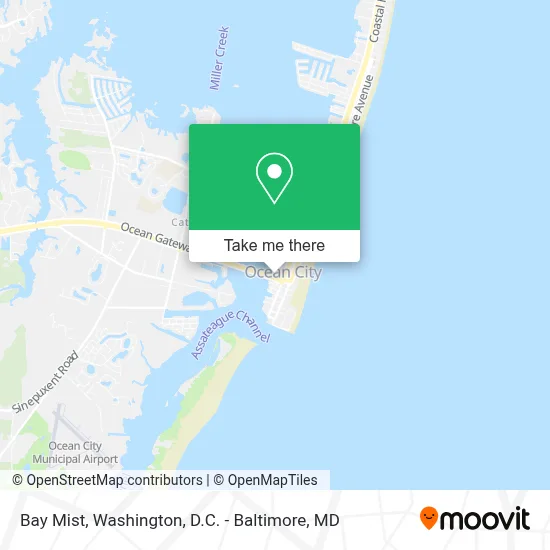 Bay Mist map