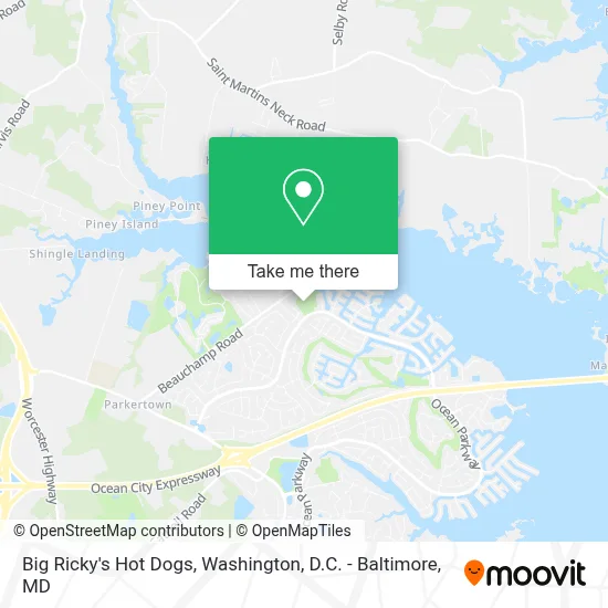 Big Ricky's Hot Dogs map