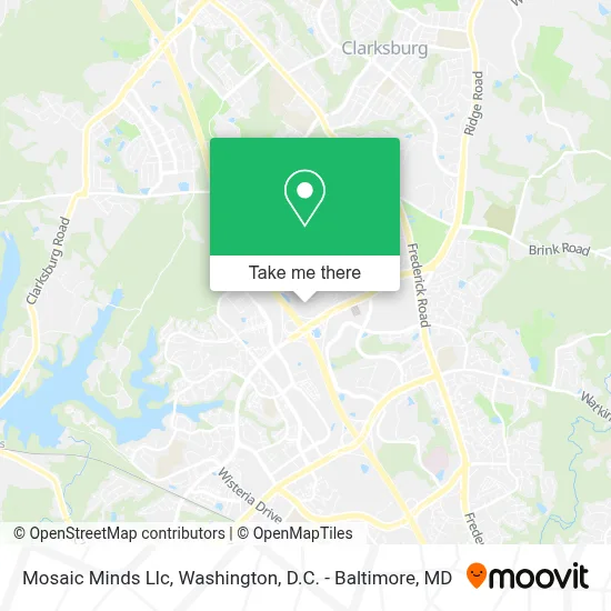 Mosaic Minds Llc map
