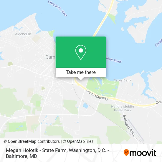Megan Holotik - State Farm map