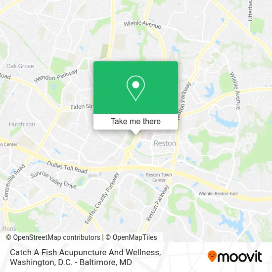 Catch A Fish Acupuncture And Wellness map