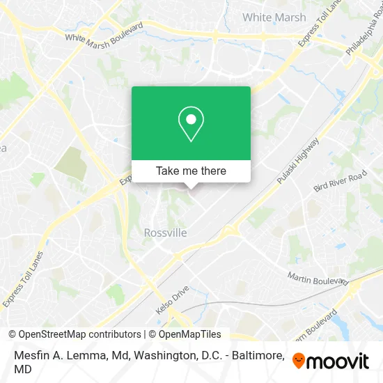 Mesfin A. Lemma, Md map