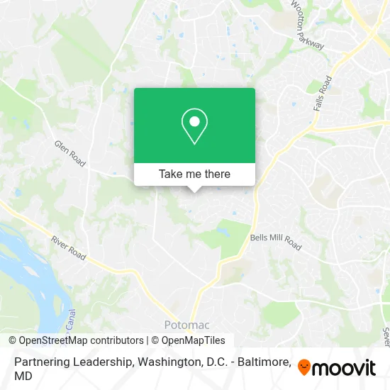 Partnering Leadership map