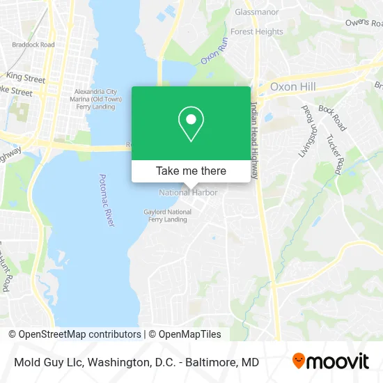 Mold Guy Llc map