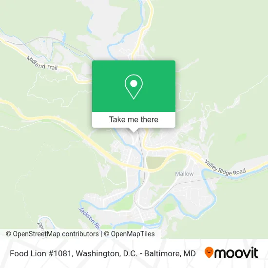 Food Lion #1081 map