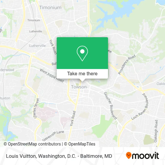 Louis Vuitton map