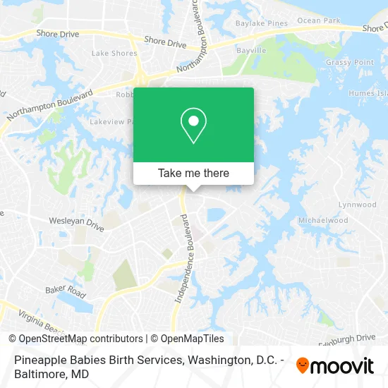 Pineapple Babies Birth Services map
