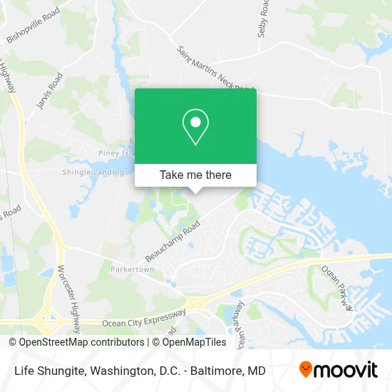 Life Shungite map