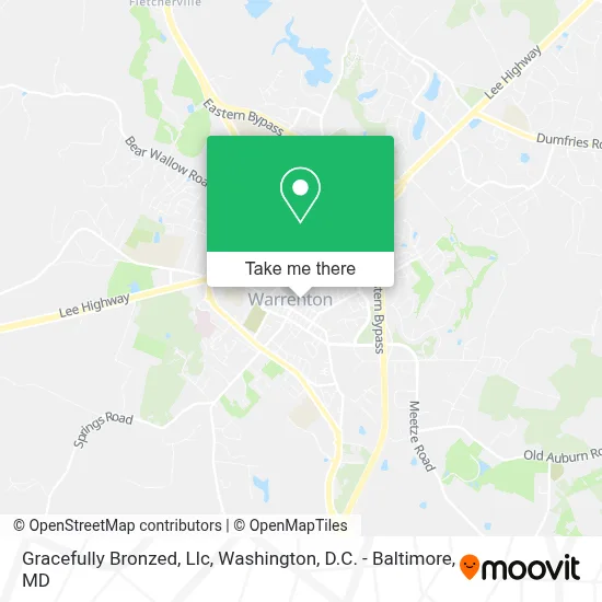 Gracefully Bronzed, Llc map