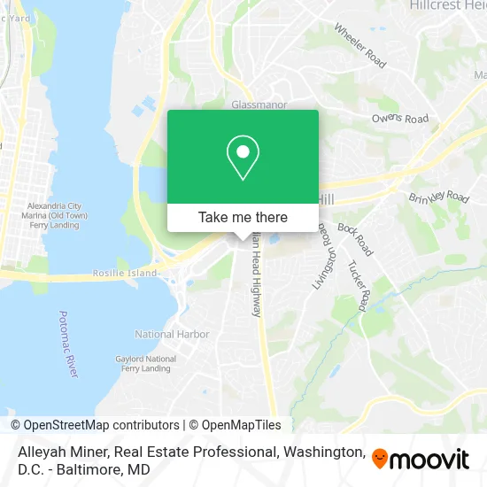 Alleyah Miner, Real Estate Professional map