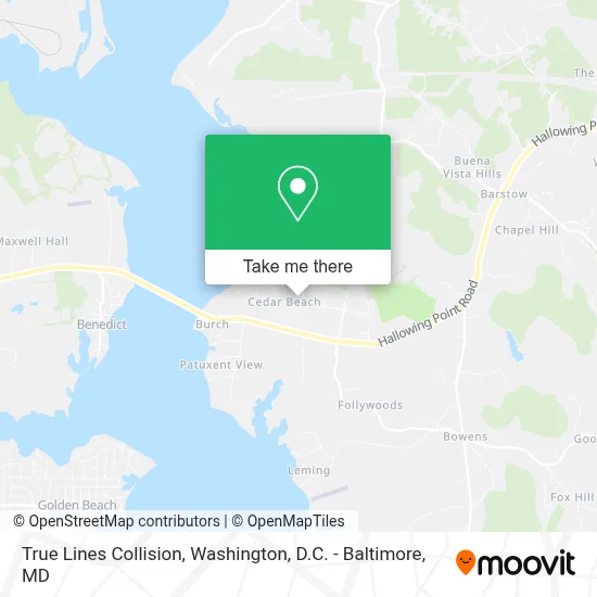 True Lines Collision map