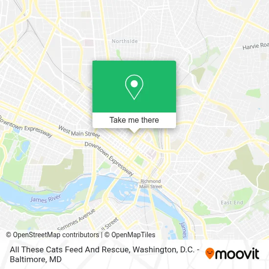 All These Cats Feed And Rescue map