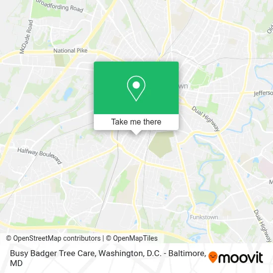 Busy Badger Tree Care map