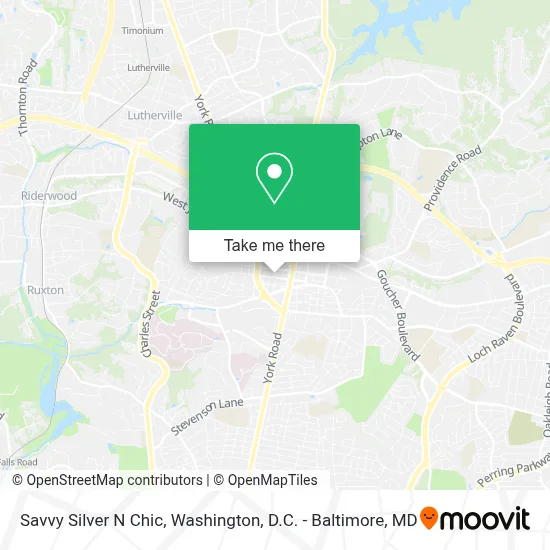 Savvy Silver N Chic map