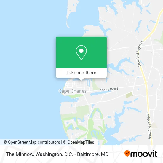 The Minnow map