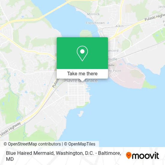 Blue Haired Mermaid map