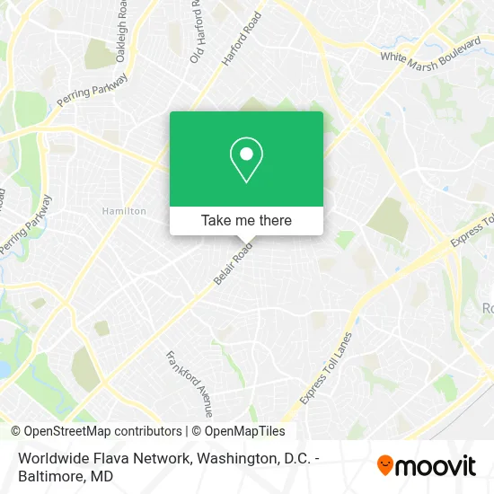 Worldwide Flava Network map