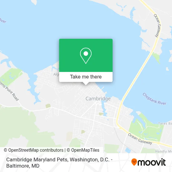 Cambridge Maryland Pets map