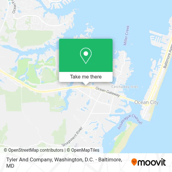 Tyler And Company map