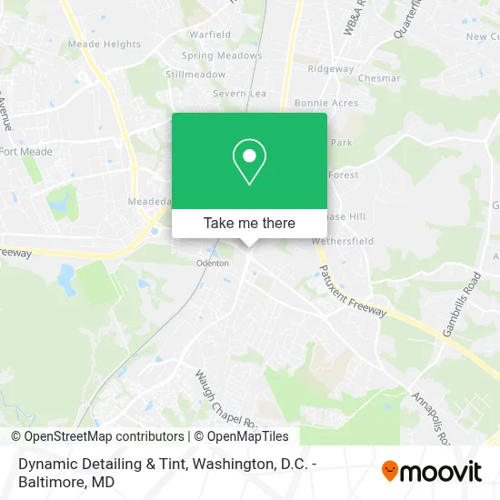Dynamic Detailing & Tint map
